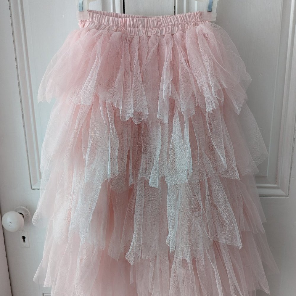 Tulle long skirt